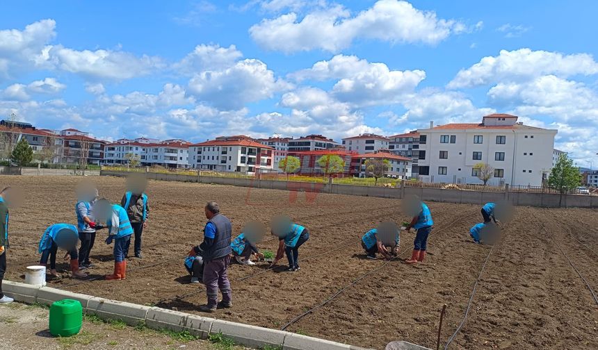 Yeşeren Umutlar Projesi Tamamlandı