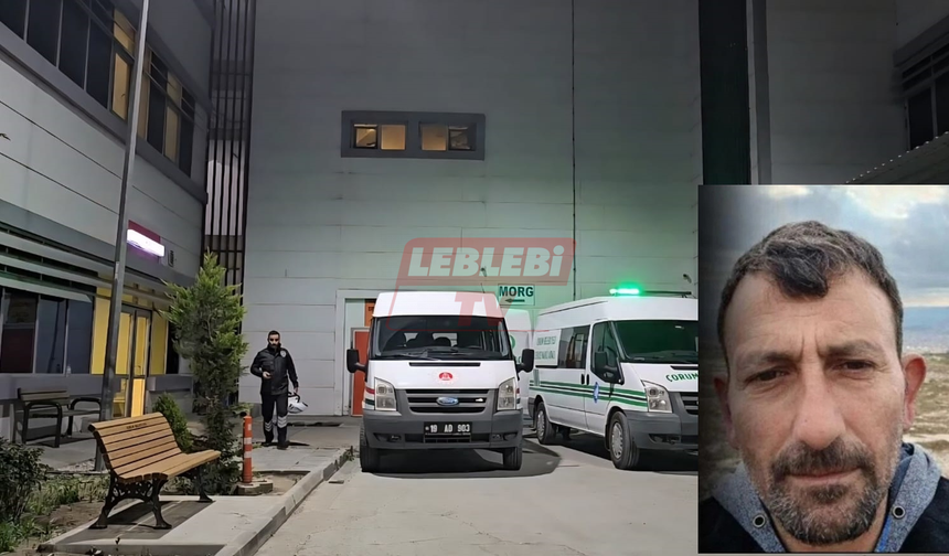 Kayıp Olarak Aranan Kişi Ormanda Ölü Bulundu