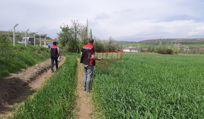 İl Tarım ve Orman Müdürlüğü Ekipleri Saha Çalışmalarını Sürdürüyor