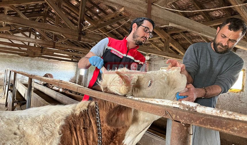 "Amaç Vatandaşın Sağlıklı Kurbana Ulaşması"