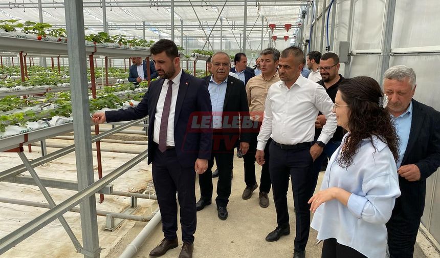 İl Genel Meclisi Üyeleri Tıbbi Aromatik Bitki Üretim Tesisini İnceledi