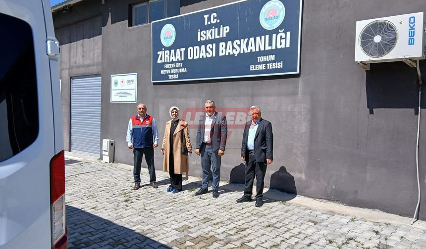 İl Genel Meclisi İskilip’teki Tarım Yatırımlarını İnceledi