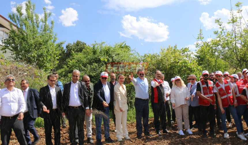 Çorum’da Kenevir Ekimi Yaygınlaşıyor