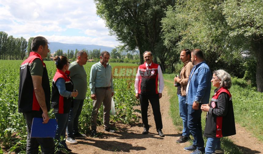 Tarım ve Orman İl Müdürü Göktekin Sahada İnceleme Yaptı