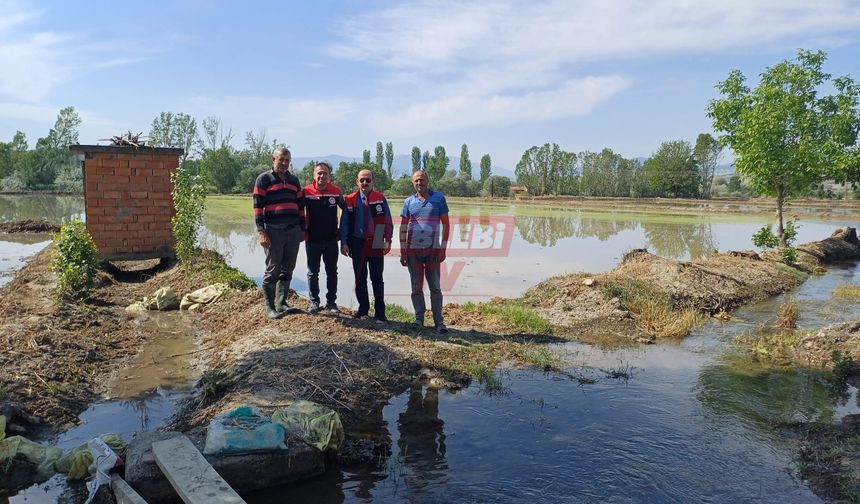 Osmancık’ta Çeltik Ekiminde Sona Gelindi