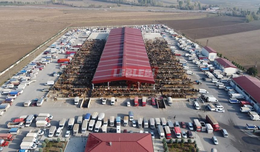 Kurbanlık Hayvan Satışlarında Sıkı Denetim