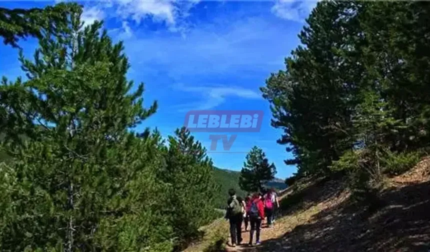 İskilip’te Gençlik Yürüyüşü Yapılacak