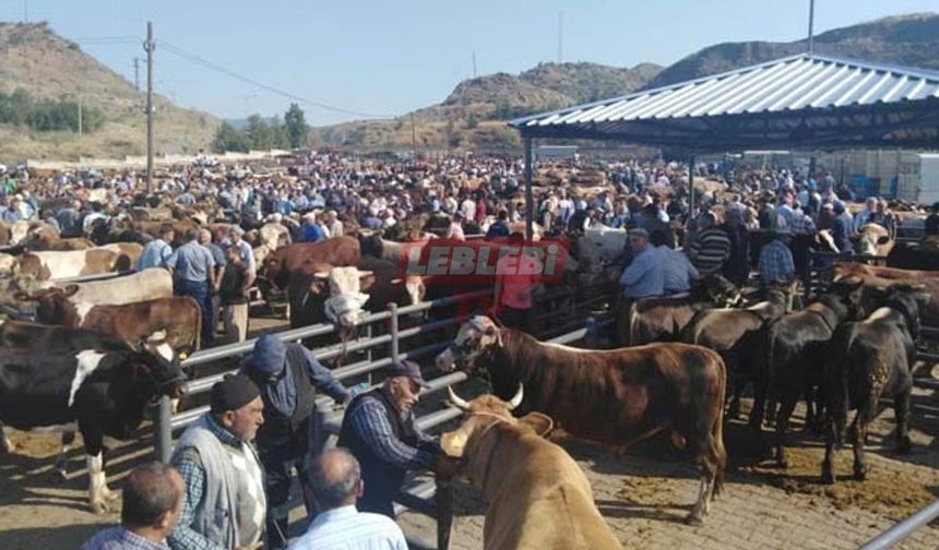 İskilip Hayvan Pazarı Perşembe Günü Açılıyor