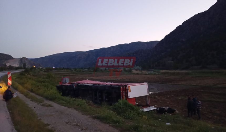 Uyuyan Şoför Tırı Devirdi