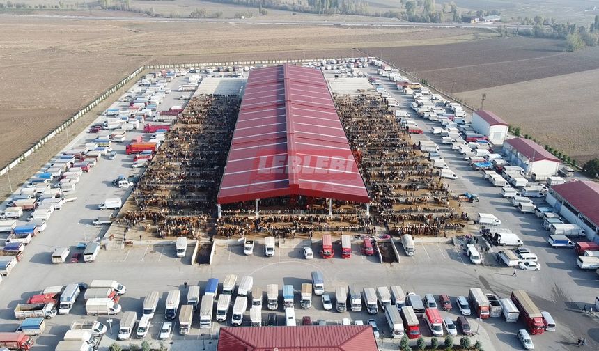 Kurban Kesim Noktaları Açıklandı