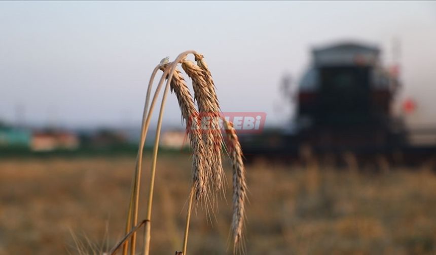 Çiftçilere 5,1 Milyar Lira Destek Ödemesi Bugün Yapılacak