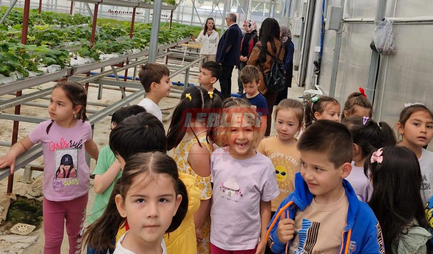 Minikler Tıbbi Aromatik Bitkiler Serasında Hem Eğlendi Hem Öğrendi