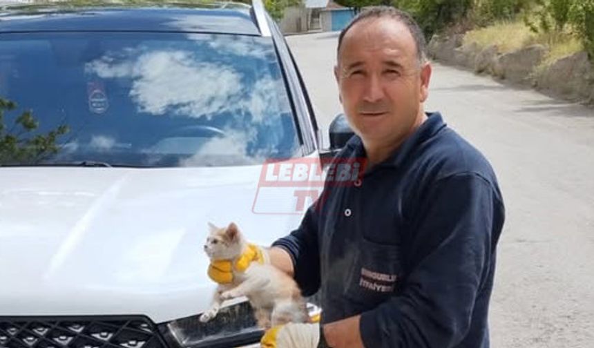 Aracın Motor Kısmına Giren Yavru Kediyi İtfaiye Kurtardı