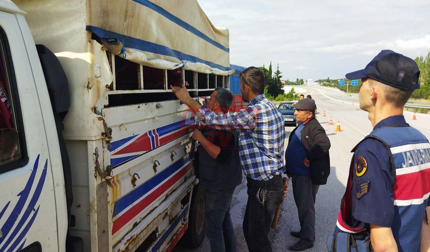 Kurban Bayramı Öncesi Yol Kontrolleri Artırıldı