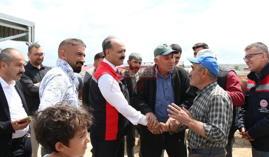 Tarım ve Orman Müdürü Göktekin Hayvan Pazarını Gezdi
