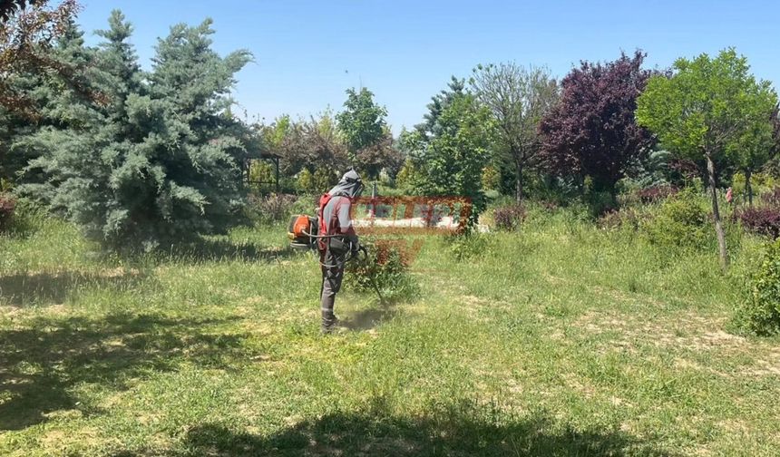 Sungurlu Belediyesi Temizlik Ve İlaçlama Yaptı