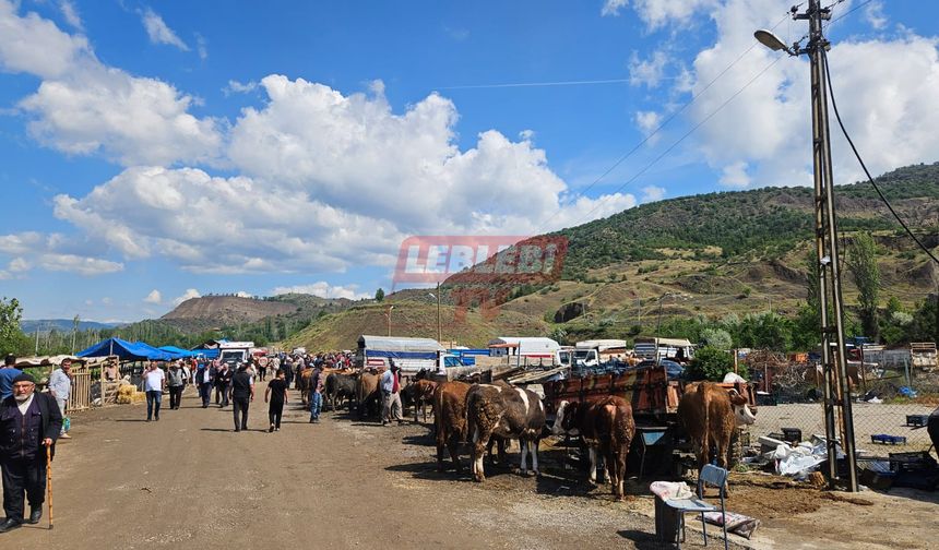 Bayat İlçesinde Kurban Pazarında Hareketlilik Sürüyor
