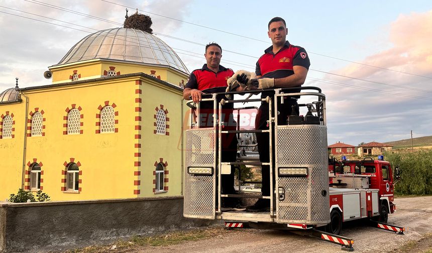 Sungurlu'da Yuvasında Asılı Kalan Leylek Kurtarıldı