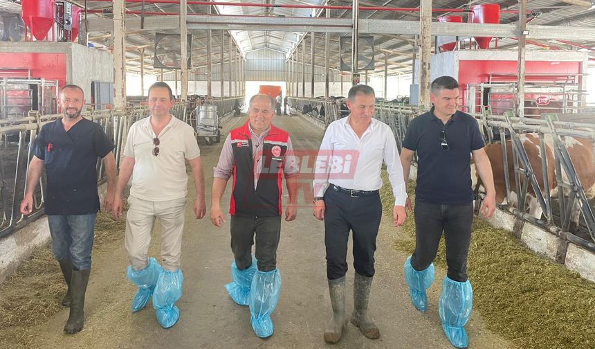 Taş, Haftasonu da Sahada İnceleme Yaptı