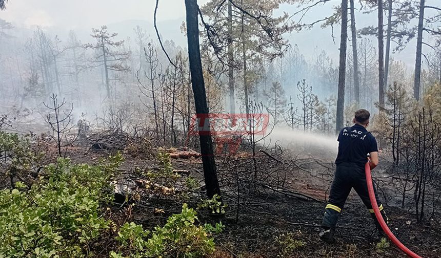 Alaca İtfaiyesi Bursa’da Yangına Müdahale Etmeye Başladı