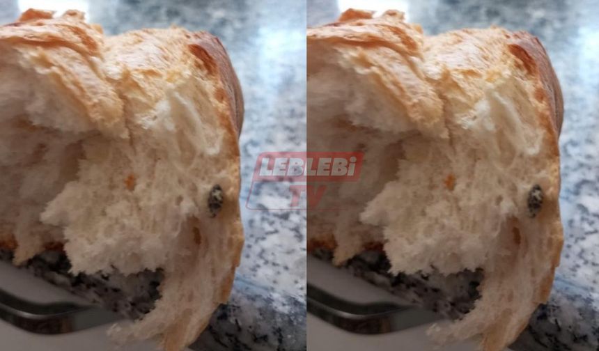 Denetimsizlik Halk Sağlığını Tehdit Ediyor