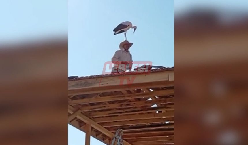 Böyle Talih Kuşu Görülmedi