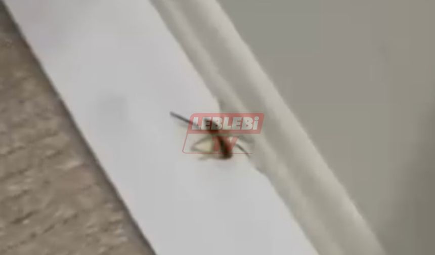 Evlere Kadar Girdiler Vatandaş Tedirgin