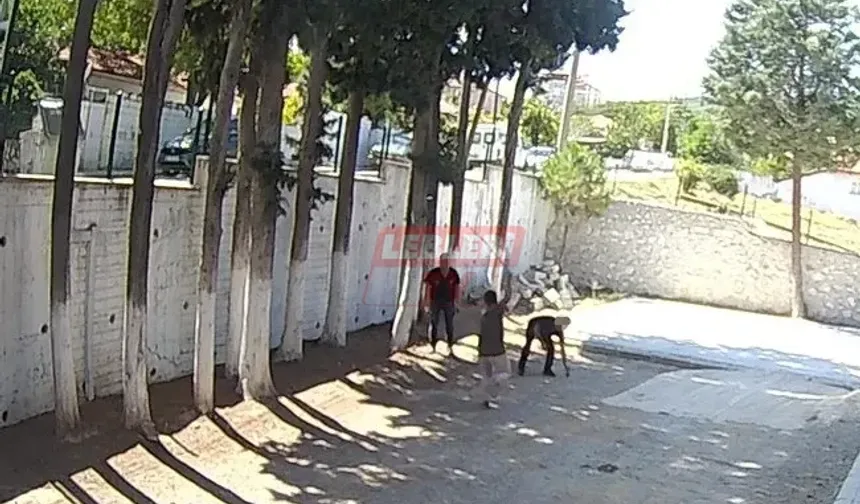 Belediye Başkanı Zabıtaları Sopayla Dövdü!