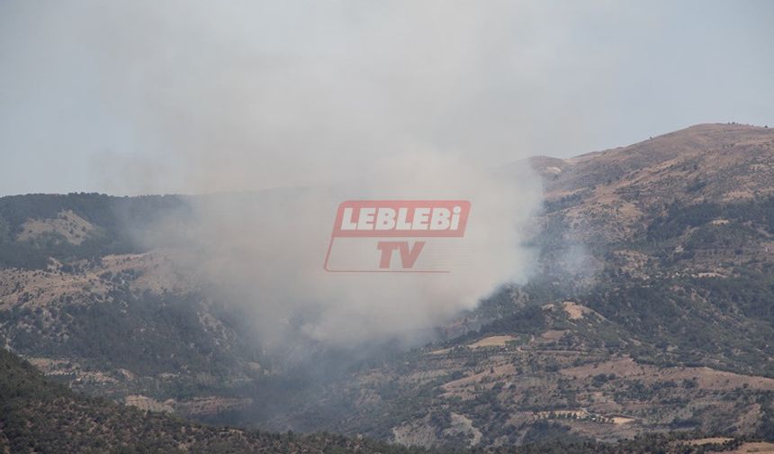 Çorum’da O Bölgede Orman Alevlere Teslim