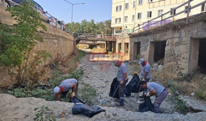 Diğ Çayı’nda Temizlik Çalışmaları Başladı