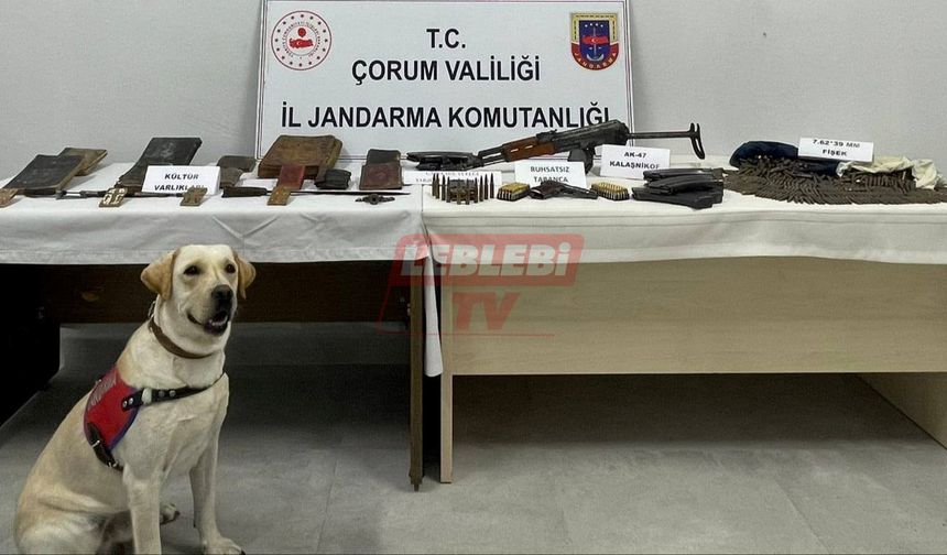 Jandarmanın Operasyonunda Neler Bulundu Neler!