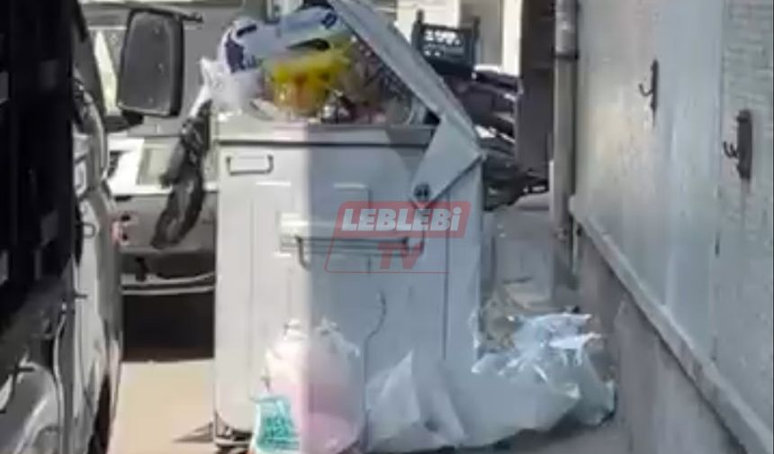 Çöpleri Alınmayan Mahalle Zor Durumda