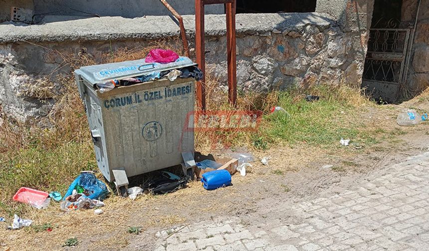 Ayaz Köyü’nde Çöpler Doldu Taştı