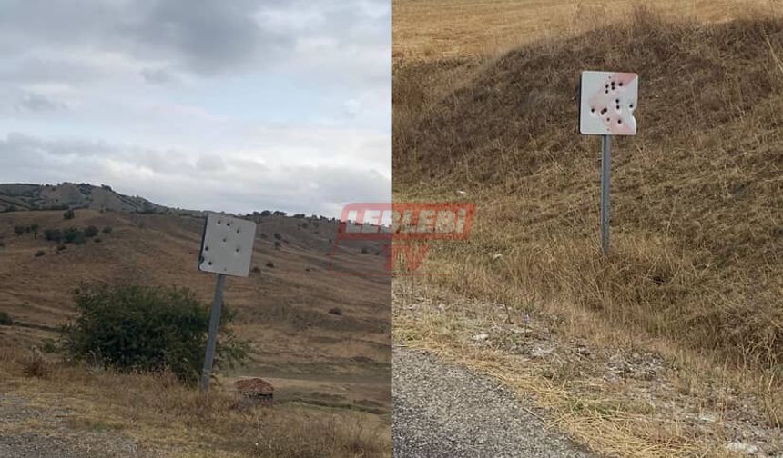 Bu Magandalığa Kim Dur Diyecek?