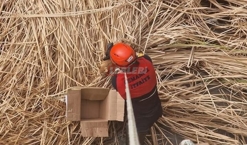 İtfaiye’ den Kedi Kurtarma Operasyonu