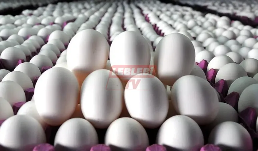 Okullar Açıldı, Yumurtaya Zam Geldi!
