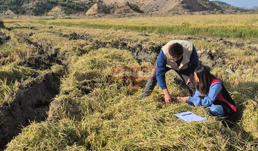Laçin’de Hasat Denetimleri Devam Ediyor