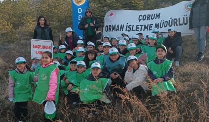 Bahçelievler İlkokulu Ağaçlandırma Etkinliği