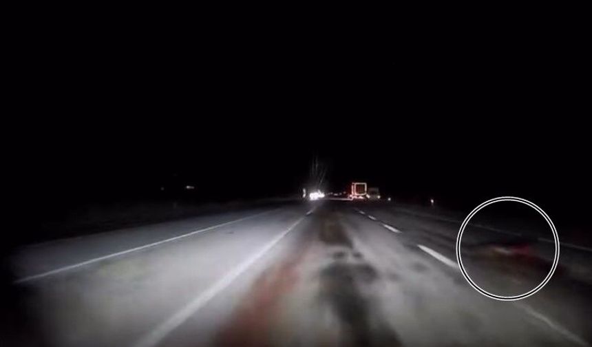 Kamyonun Çarptığı Domuz İkiye Bölündü