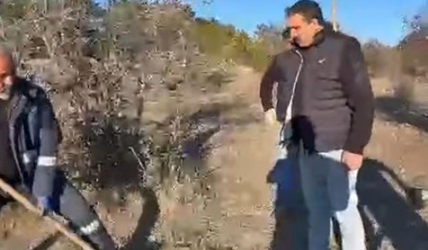 Uğurludağ’da Yeşil Dönüşüm Meyve Ağaçları İle Sürüyor