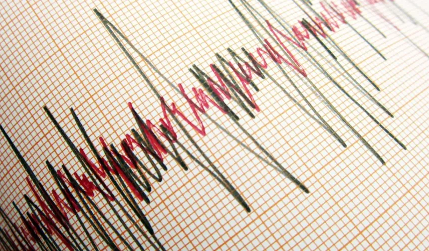 4,2 Büyüklüğünde Depremle Sallandılar