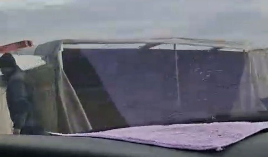 Uyuyan Şoför TIR’ı Devirdi! Büyükbaş Hayvanlar Yola Savruldu