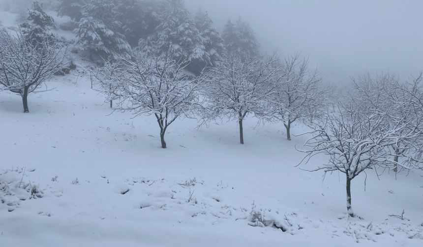 Ceviz Bahçeleri Karla Kaplandı