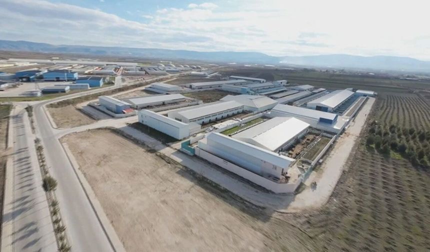 Çorum’a Müjde! Organize Tarım Bölgesi Kurulacak