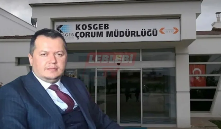 Çorumlu İşletmeler İçin 20 Milyon TL’lik Dev Destek!