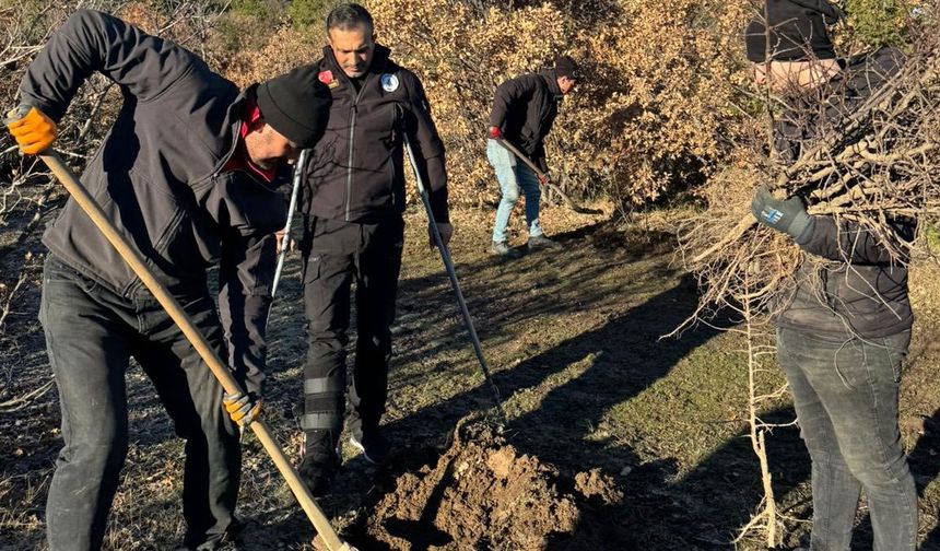 Başkan Torun, İlçe Halkıyla Birlikte Dağlarda Toprağı Fidanlarla Buluşturdu