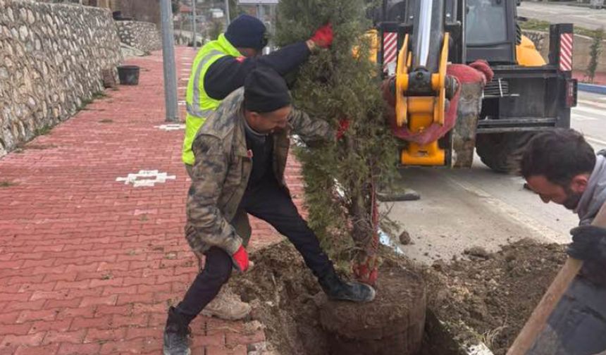 Ortaköy Yeşile Doyacak