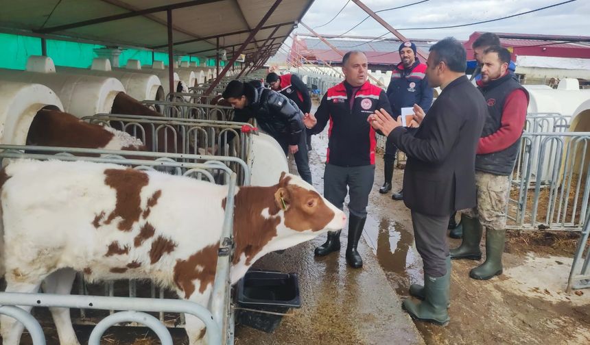 Genç Nüfus Köylerde Yaşamak İstemiyor