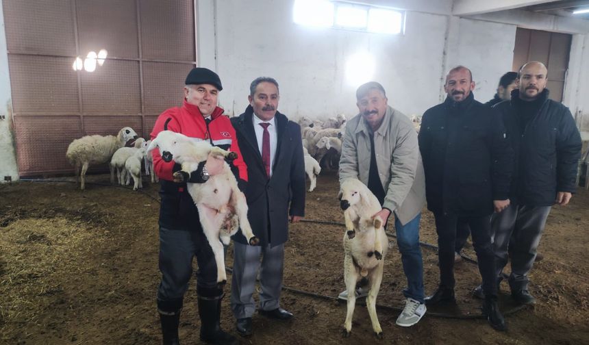 Çorum’da Bulunan Damızlık Koç-Teke İstasyonuna Tam Not