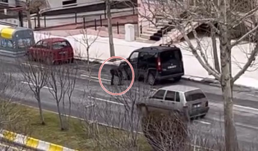 Çorumlunun Yaptığını Herkes Yapamaz! Bu Amcayı Ödüllendirin!